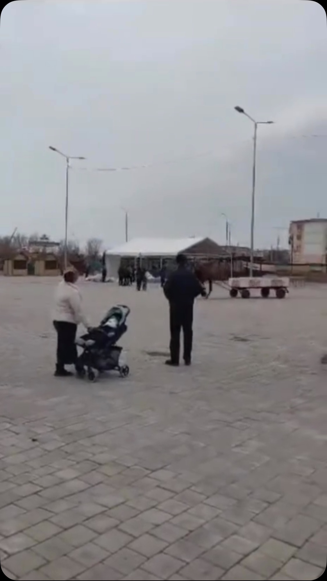 В Балхаше во время праздничных гуляний взбесился верблюд