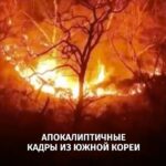Топ новости за 24 март