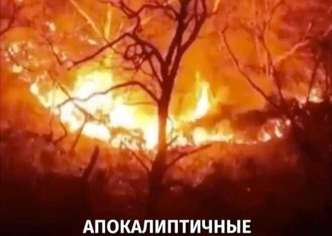 Топ новости за 24 март