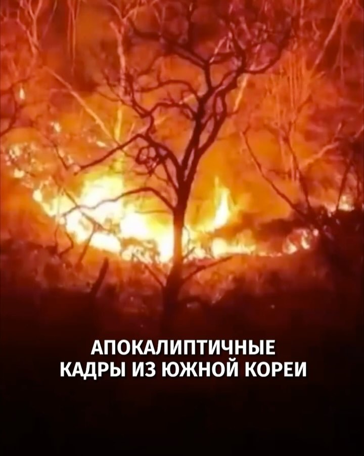 Топ новости за 24 март