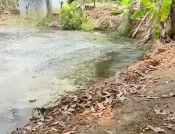 До 1,7 тысячи выросло число погибших при землетрясении в Мьянме