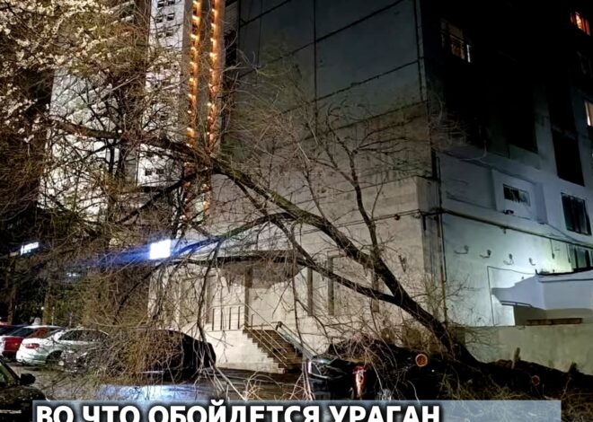 Во что обойдется ураган алматинским автовладельцам?