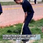 ваши комментарии