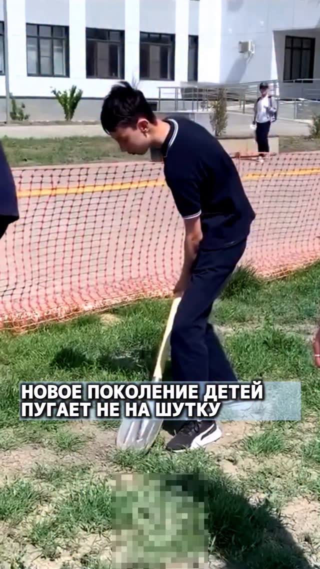 ваши комментарии