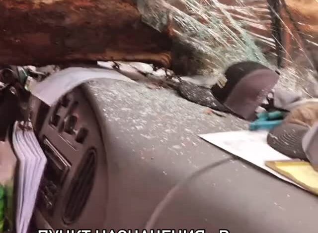 «Пункт назначения» в реальной жизни: чел из США ехал за фурой, в которой лежали брёвна, и одно внезапно влетело ему в ло…