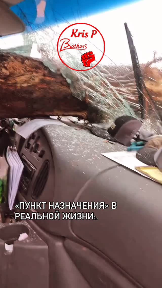 «Пункт назначения» в реальной жизни: чел из США ехал за фурой, в которой лежали брёвна, и одно внезапно влетело ему в ло…