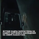 На видео видно, как странное, похожее на инопланетянина существо выходит из-за автомобиля и приближается к нему. Владеле…