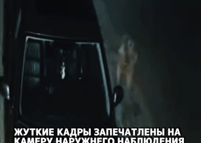 На видео видно, как странное, похожее на инопланетянина существо выходит из-за автомобиля и приближается к нему. Владеле…
