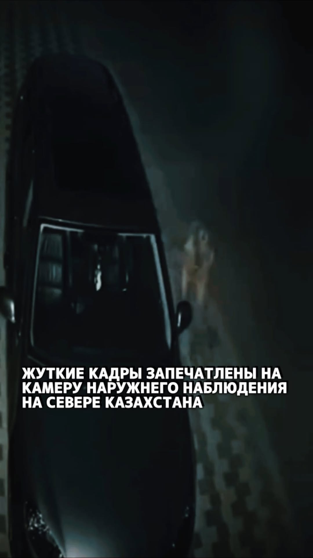 На видео видно, как странное, похожее на инопланетянина существо выходит из-за автомобиля и приближается к нему. Владеле…