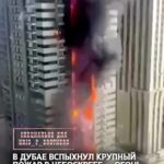 В Дубае вспыхнул крупный пожар в небоскребе — огонь охватил 67 этажную высотку. По данным СМИ, пожар охватил жилой небос…