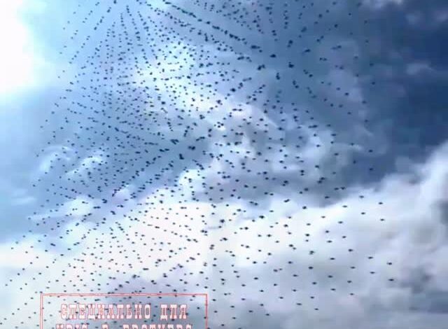 Китай способен производить до 700 000 FPV-дронов в месяц в условиях войны⚠️☝️ 💬 По данным СМИ, Китай уже сейчас обладае…