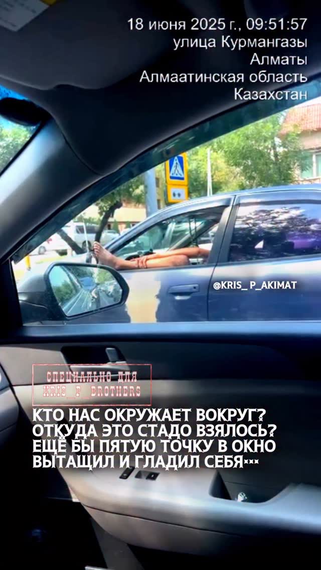 Повадки обезьяны! Откуда такие взялись в последнее время в Южной Столице? Где уважение к обществу, воспитание и культура…