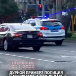 Вот результат, когда полиция показывает дурной пример. За этим примером начинают следовать обычные люди. Кто-то видит, к…