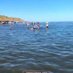 Приятного отдыха, кто то надеялся что не доплывет до берега? Где отдыхаем там и г@дим🤦🏽‍♂️ Выбери предподчение? @saiil…