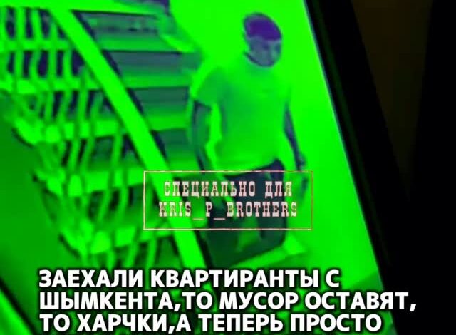 Заехали квартиранты с Шымкента,то мусор оставят,то харчки,а теперь просто встал и гадит под себя. Пусть видят героя! Бай…