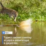 Топ новостей для Вас! Чтобы вы были в курсе событий 🎙️