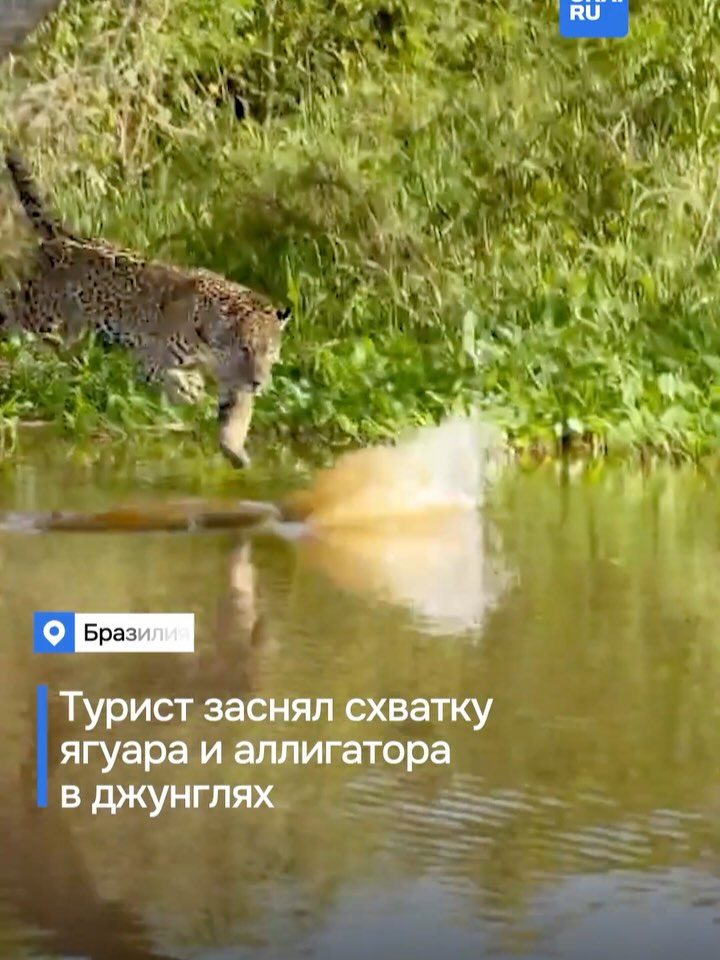 Топ новостей для Вас! Чтобы вы были в курсе событий 🎙️