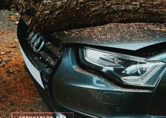 Лайфхаки для автовладельцев: что делать, если гром грянул? Ураганы, накрывшие Алматы весной, показали, что больше всего …