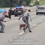 Топ новостей для Вас! Чтобы вы были в курсе событий 🎙️