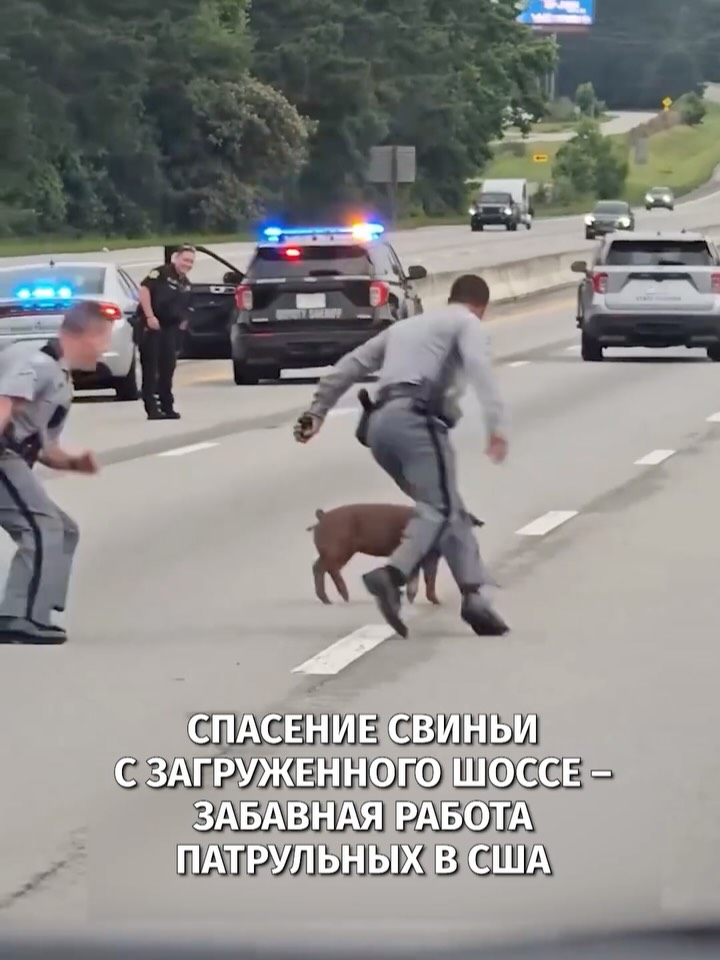 Топ новостей для Вас! Чтобы вы были в курсе событий 🎙️