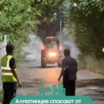 В Алматы началась активная фаза борьбы с вязовыми (древесными) клопами. Эти насекомые расплодились из-за жары и нехватки…