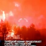 Турецкий Измир продолжает гореть: местные СМИ публикуют новые кадры пожара в провинции. Измир — крупный город с населени…