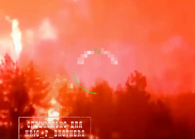 Турецкий Измир продолжает гореть: местные СМИ публикуют новые кадры пожара в провинции. Измир — крупный город с населени…