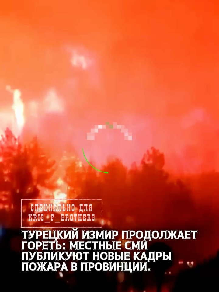 Турецкий Измир продолжает гореть: местные СМИ публикуют новые кадры пожара в провинции. Измир — крупный город с населени…