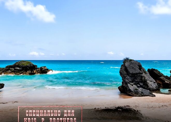 80-летняя жительница Австралии умерла после того, как круизный лайнер Coral Adventurer уплыл без неё с острова Лизард на…