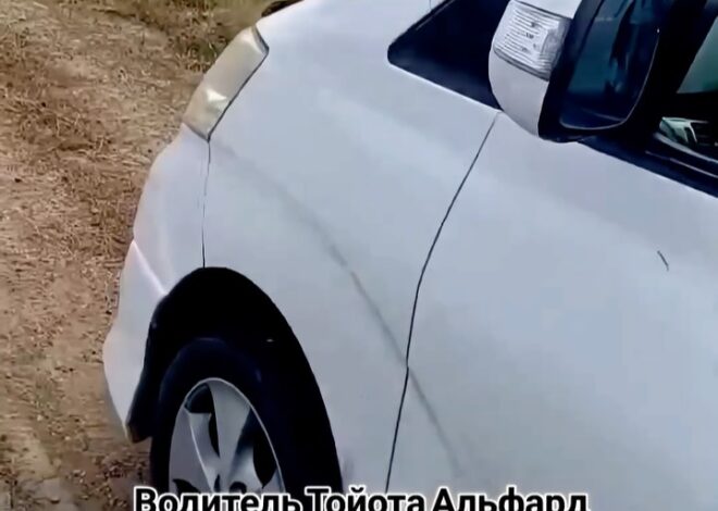 Топ новостей для Вас! Чтобы вы были в курсе событий 🎙️ Текст к первому видео ⤵️ «Альфарды под прицелом» Водитель Toyota…