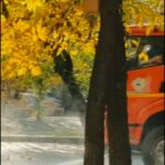 Алматыда «Таза Қазақстан» бағдарламасы аясында жергілікті сенбілік өтті. Қала тазалығына 2300-ден астам адам және 211 ар…