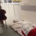 В инфекционной больнице Шымкента пациентов разместили на полу В соцсетях распространилось видео из инфекционной больницы…