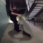 Полицейские во Флориде голыми руками оттаскивали за хвост крокодила. По данным местной полиции, его заметили возле жилых…