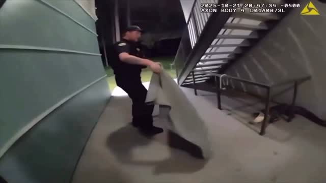 Полицейские во Флориде голыми руками оттаскивали за хвост крокодила. По данным местной полиции, его заметили возле жилых…