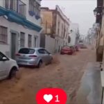 На юге Испании затопило курортные города, ветер выбивает окна домов и вырывает с корнями деревья, а потоки грязи и воды …