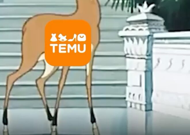 111,6 млрд тенге от Temu, Valve и Apple: Как Казахстан научился зарабатывать на онлайн-сервисах С момента введения налог…