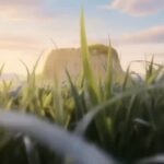 Қазақ халқының көрген қиындықтары — бүгінгі тыныштық пен тұрақтылықтың негізі Талай заман көк пен белдің тітіркенгеніне,…