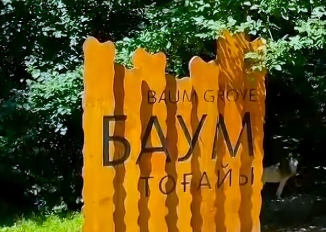 Алматинцы надеются, что одна из любимых зелёных зон города — роща Баума — совсем скоро преобразится. Работы по благоустр…