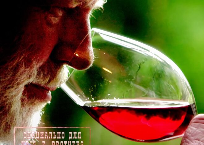 Пожилой мужчина из Франции отправился за покупками и, возвращаясь домой, пропустил поворот. Его автомобиль сорвался со с…