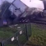 В Нидерландах скоростной поезд протаранил фуру с фруктами — груши разлетелись на сотни метров. По данным СМИ, авария про…