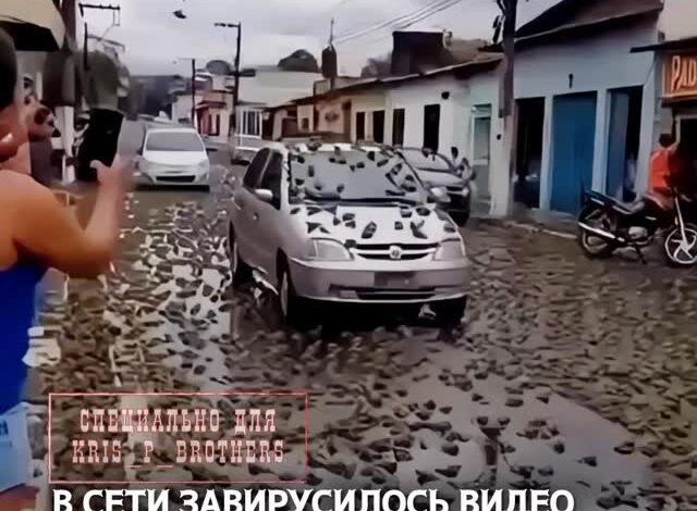В сети завирусилось видео из Бразилии, где местный житель запечатлел на камеру необычное и редкое явление